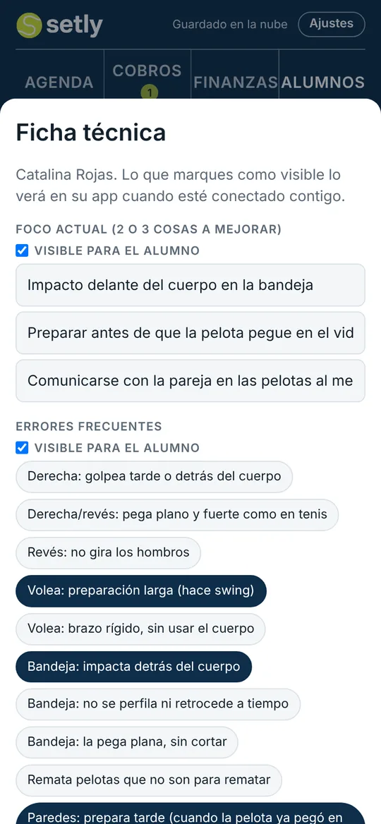 Ficha técnica con foco actual y errores frecuentes de bandeja, volea y paredes